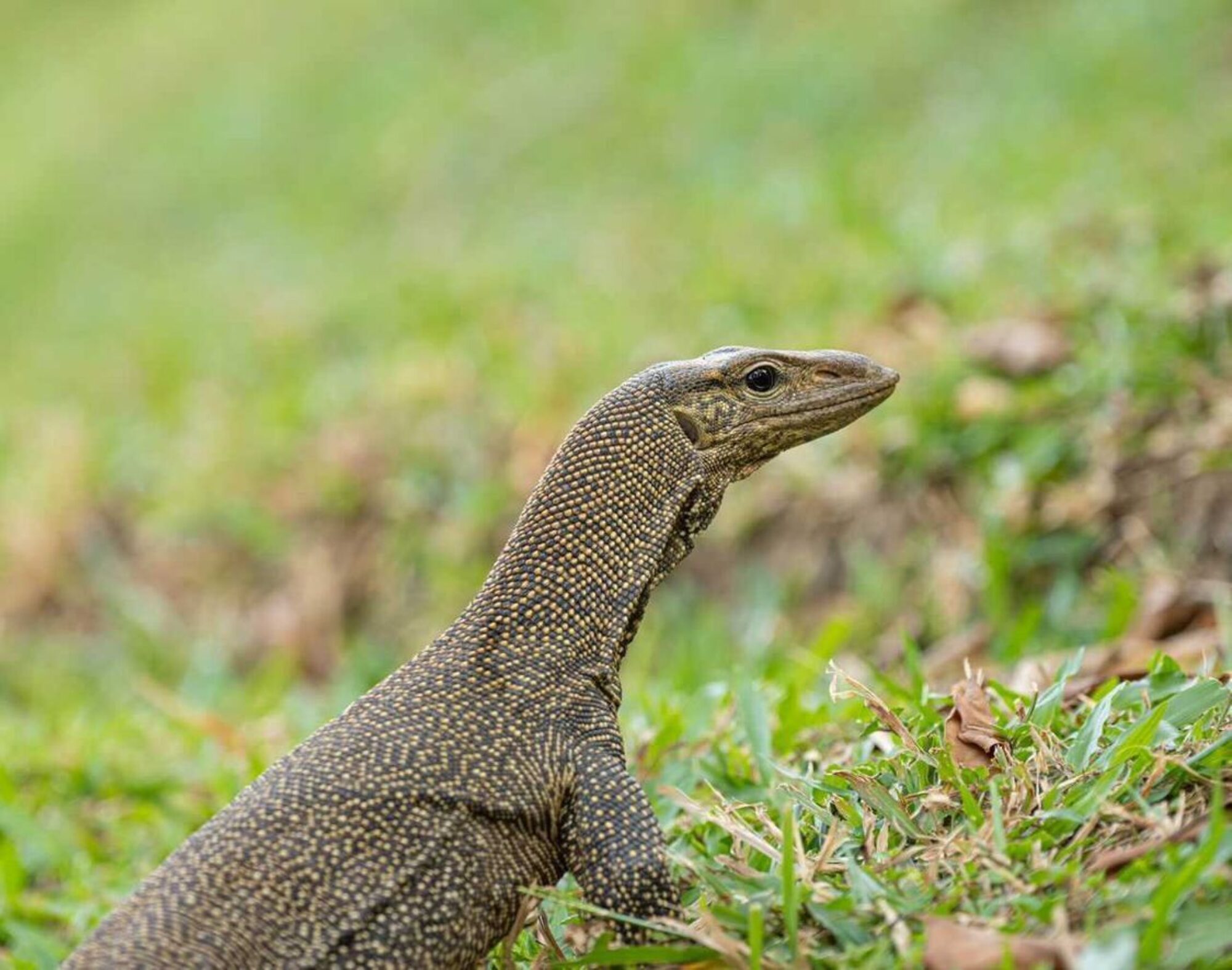 Whats App Image 2022 05 21 at 18 14 48 1