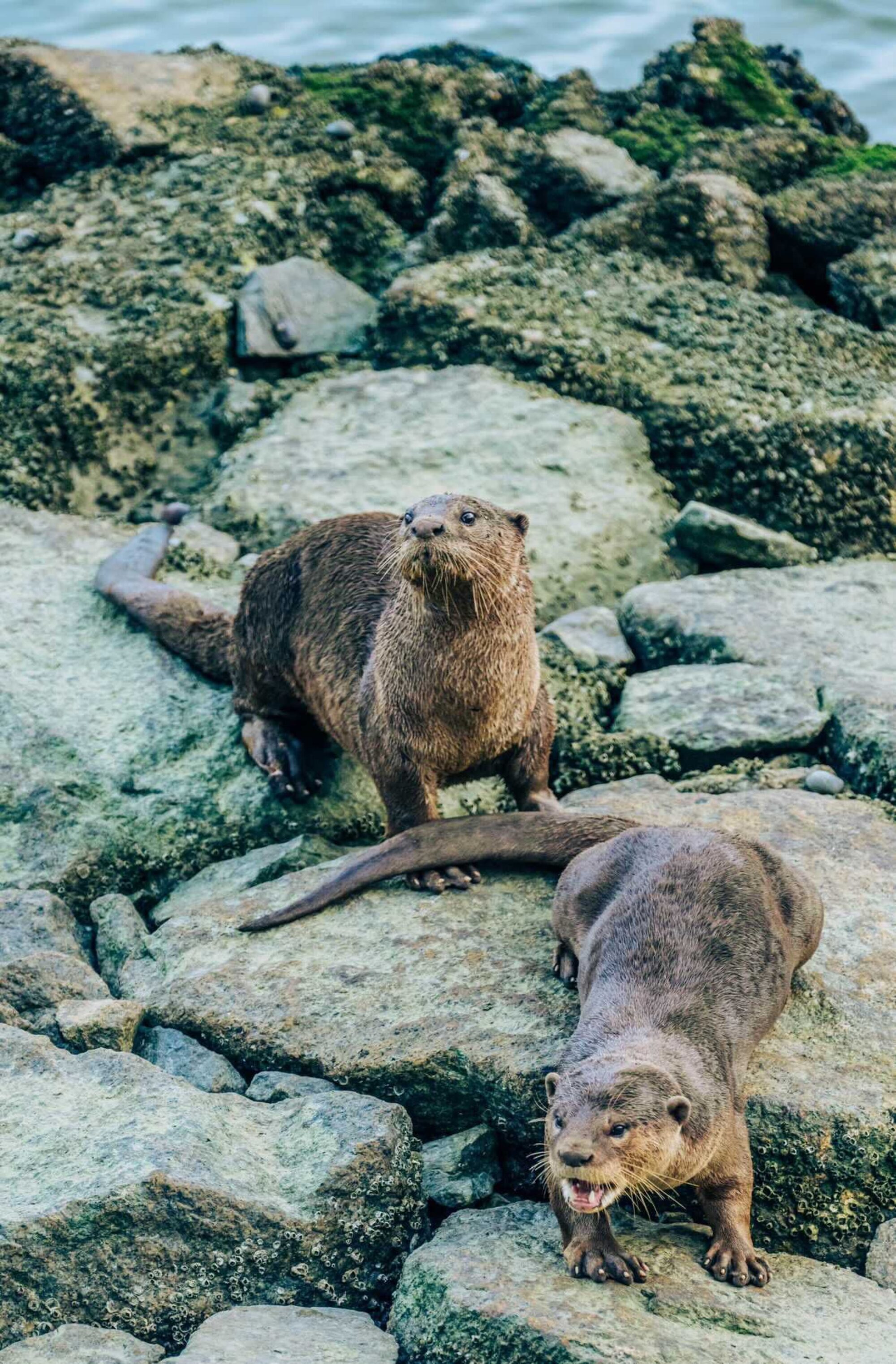 Whats App Image 2022 05 21 at 18 14 48