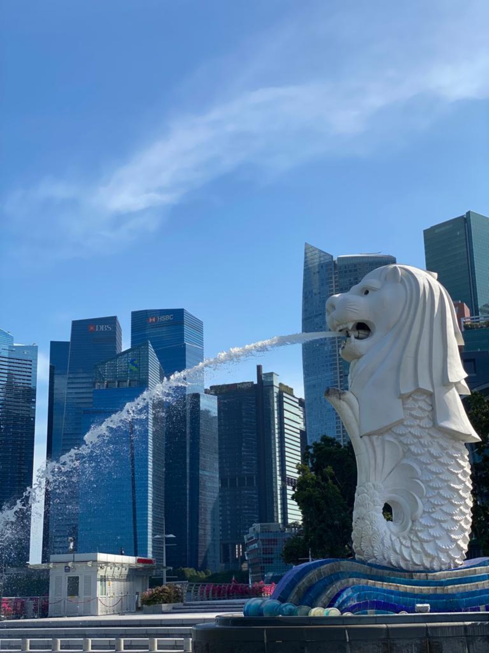 Whats App Image 2022 05 21 at 18 28 46 1