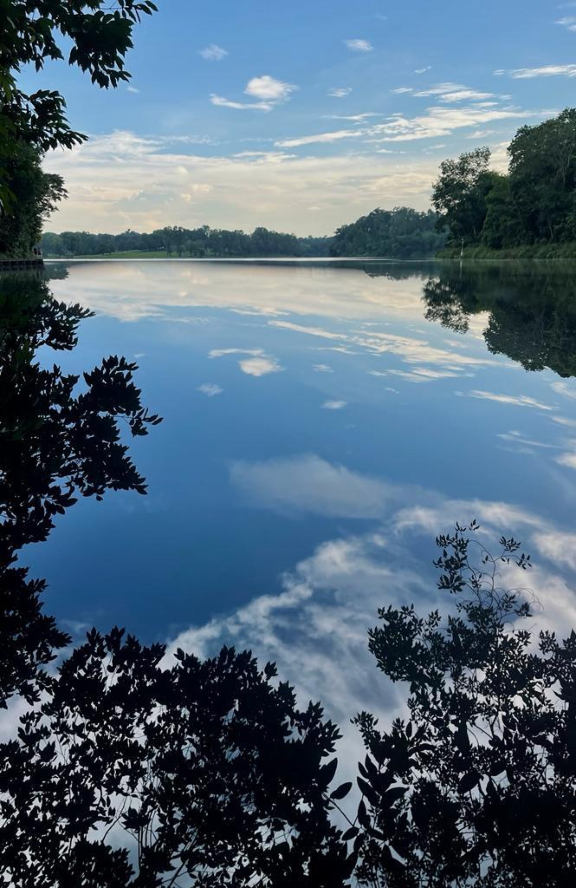 Whats App Image 2022 07 04 at 09 18 35 3