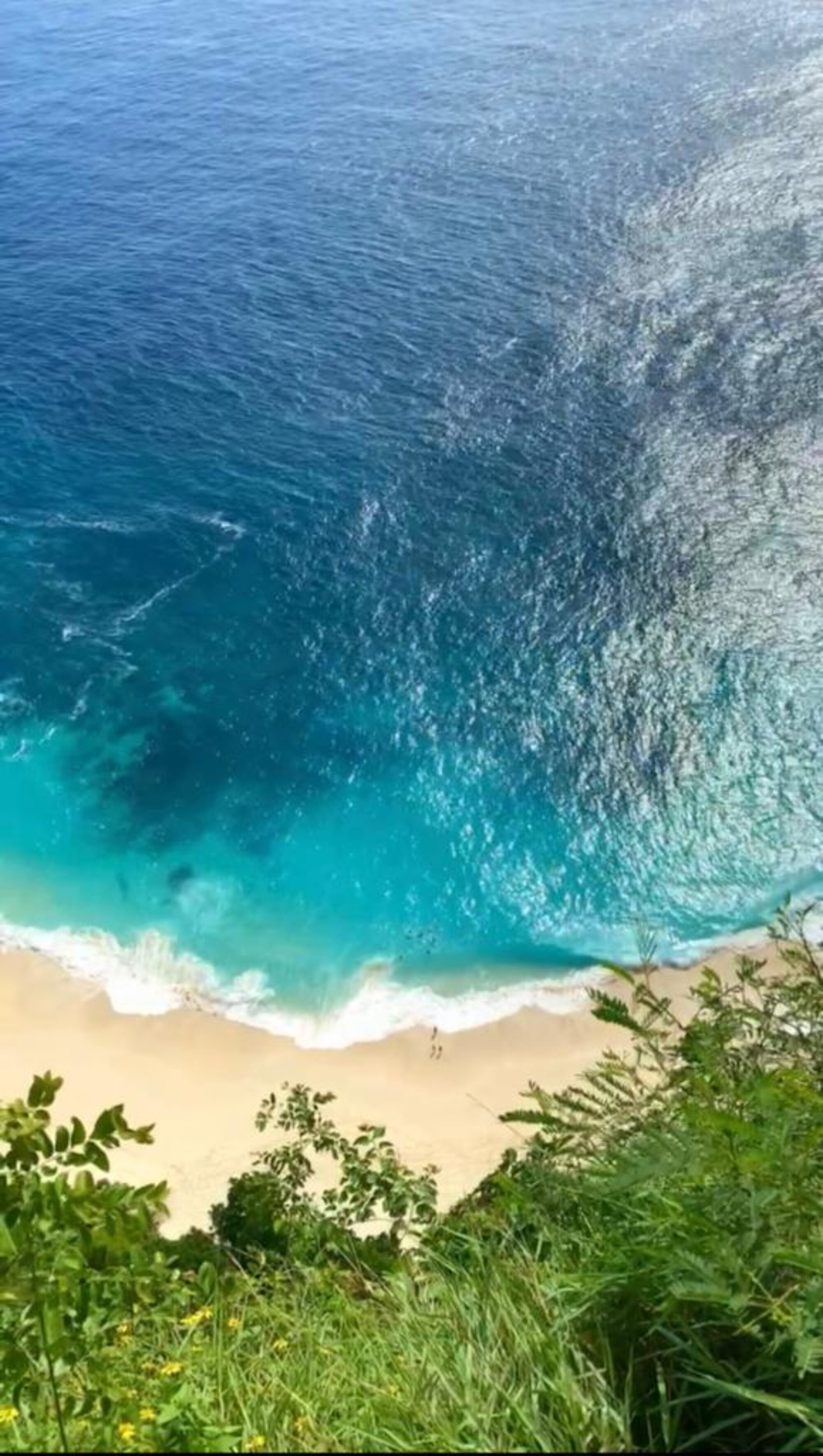 Whats App Image 2022 07 04 at 09 18 36 2