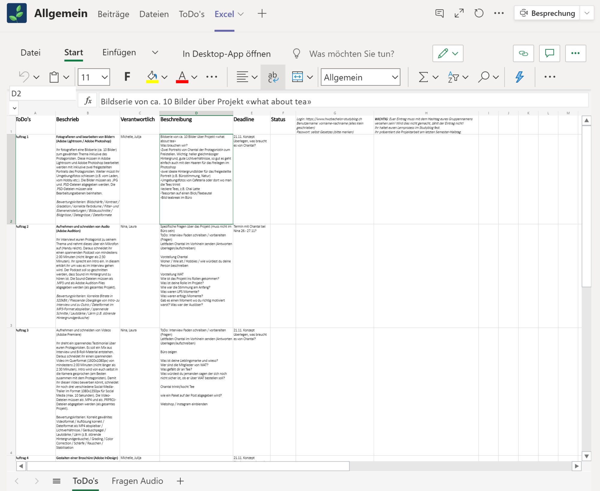 Excel Projektplan