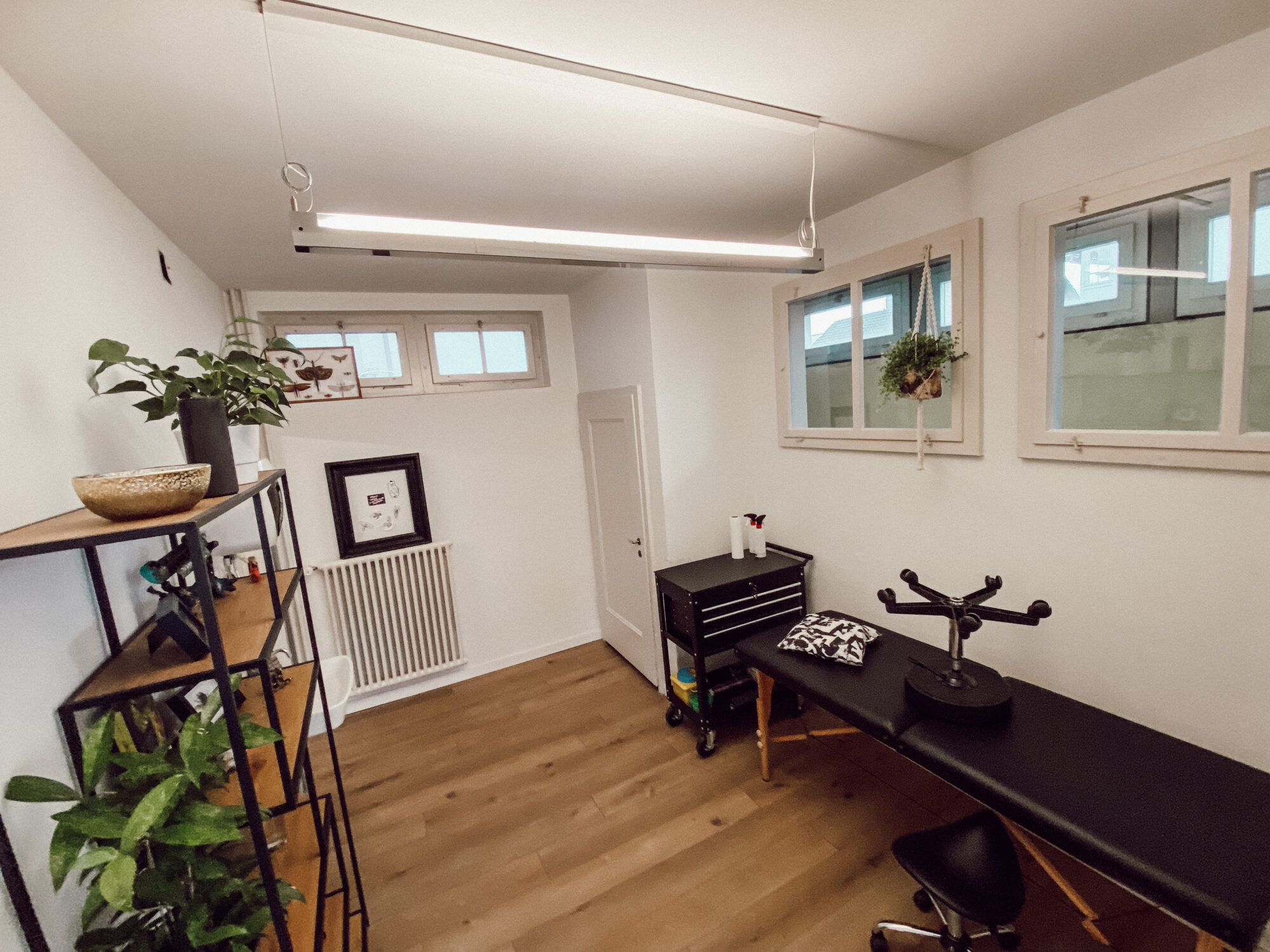 Bild 20230125 063440 74434971