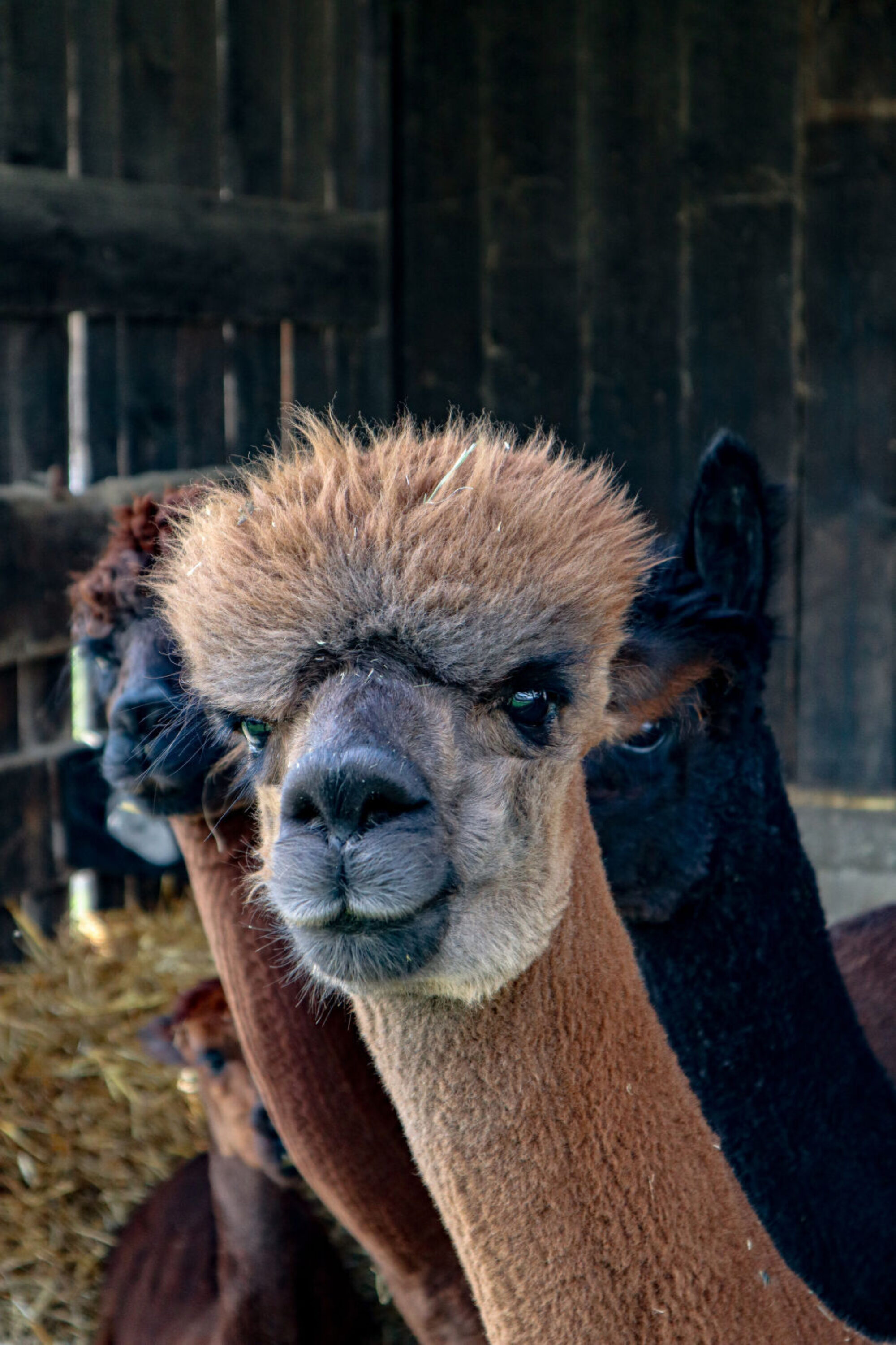 49a378bd 824a 4b38 a0a5 42ee8c090106