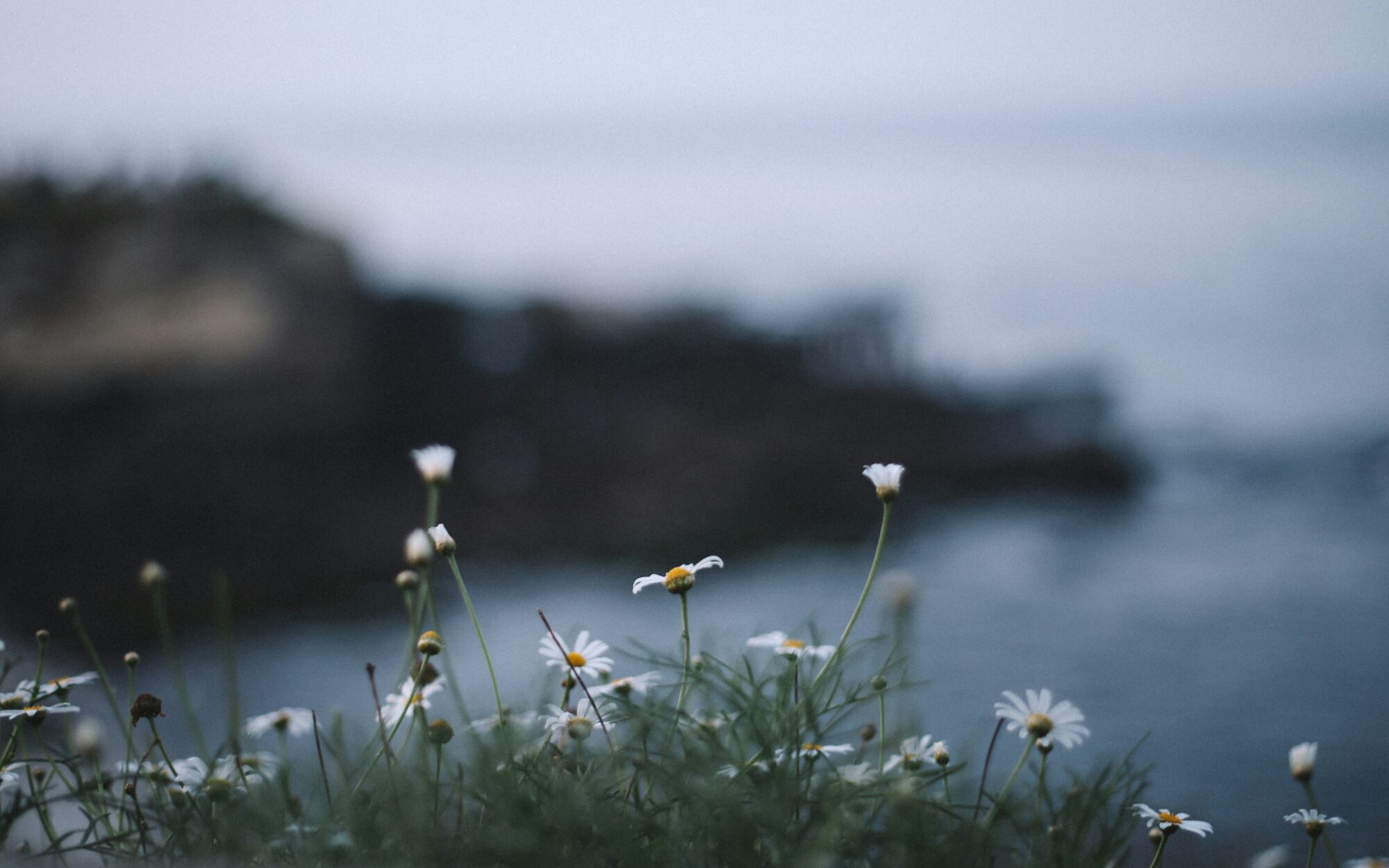 Justin docanto Coaeue W9 WA unsplash