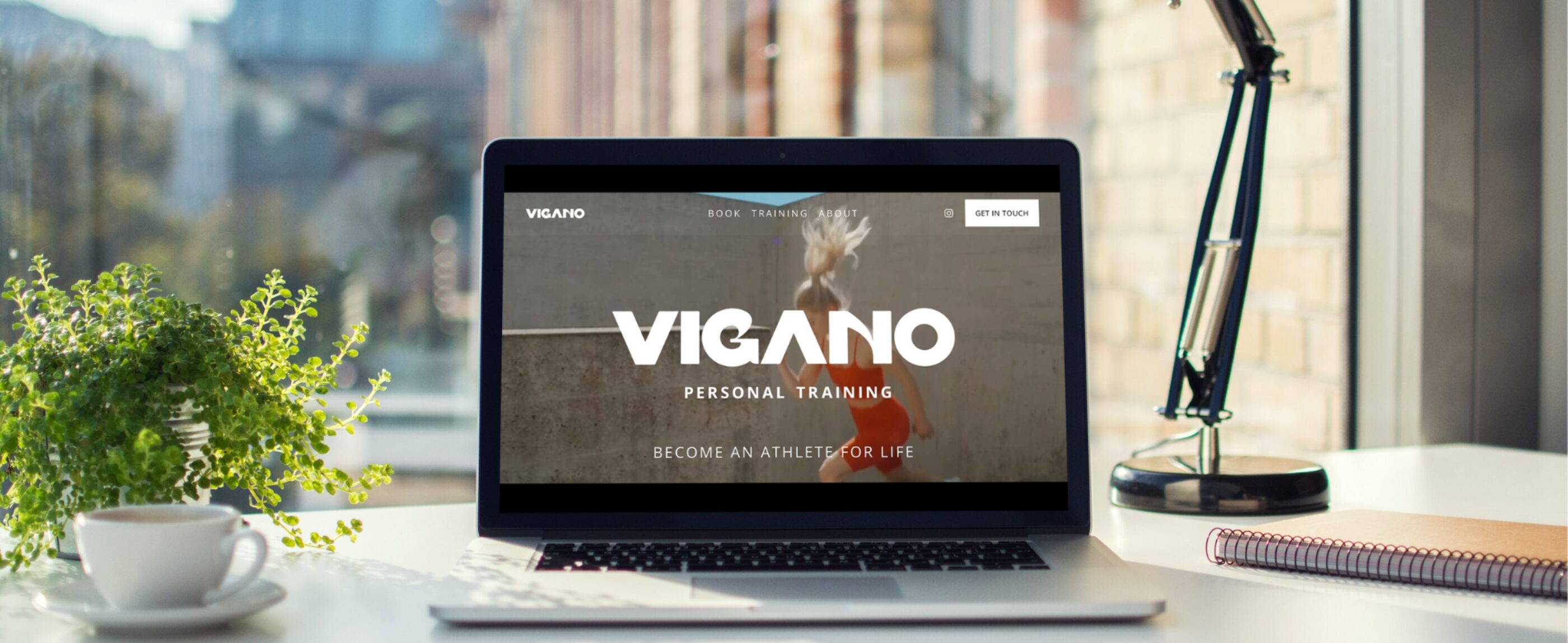 Vigano Website