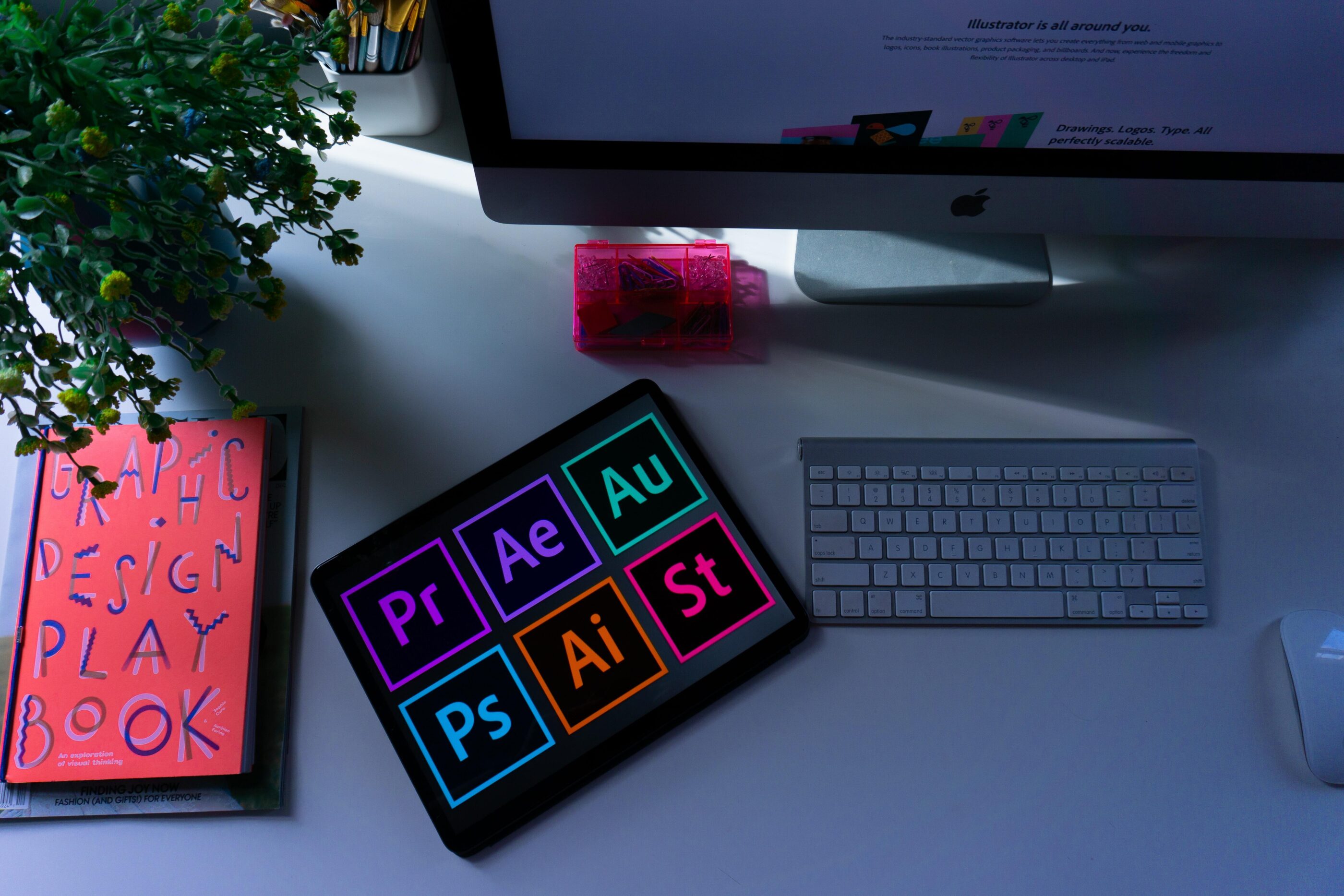 Adobe Programme 2
